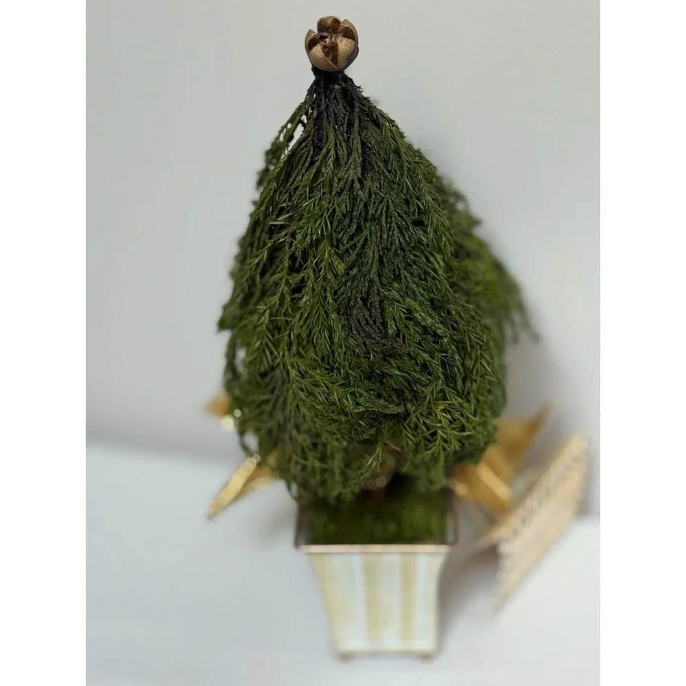 NEW Mackenzie Childs Evergreen  Accents Topiary Mocha Check/Stripe 9